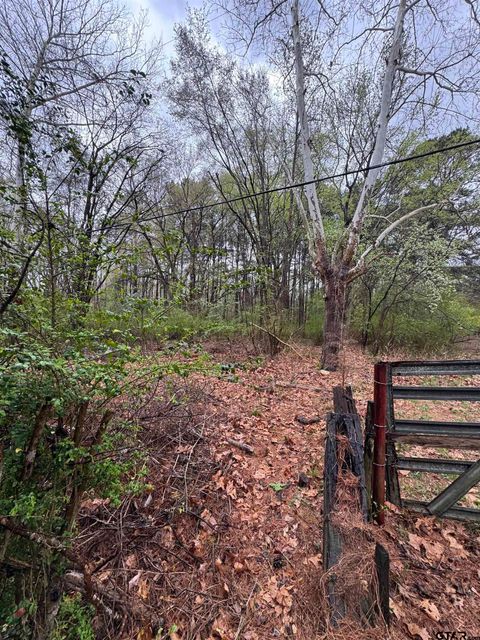 0 Elysian Feilds Ave Marshall TX 75670