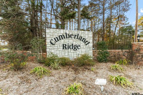 16029 Cumberland Way Bullard TX 75757