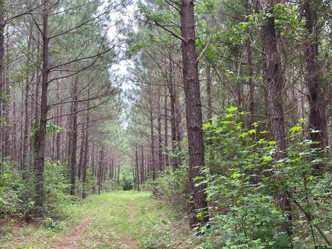 TBD Sand Road Lufkin TX 75904