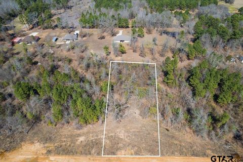 Lot 7 Piney Ln. Pittsburg TX 75686