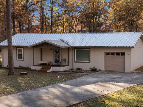 38 Twisted Trail Mt Vernon TX 75457