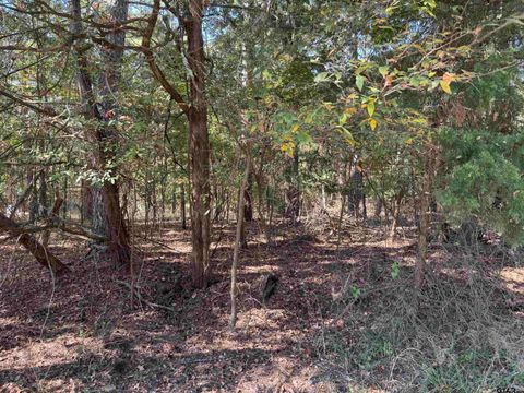 Lot 69 Kings Lake Scroggins TX 75480