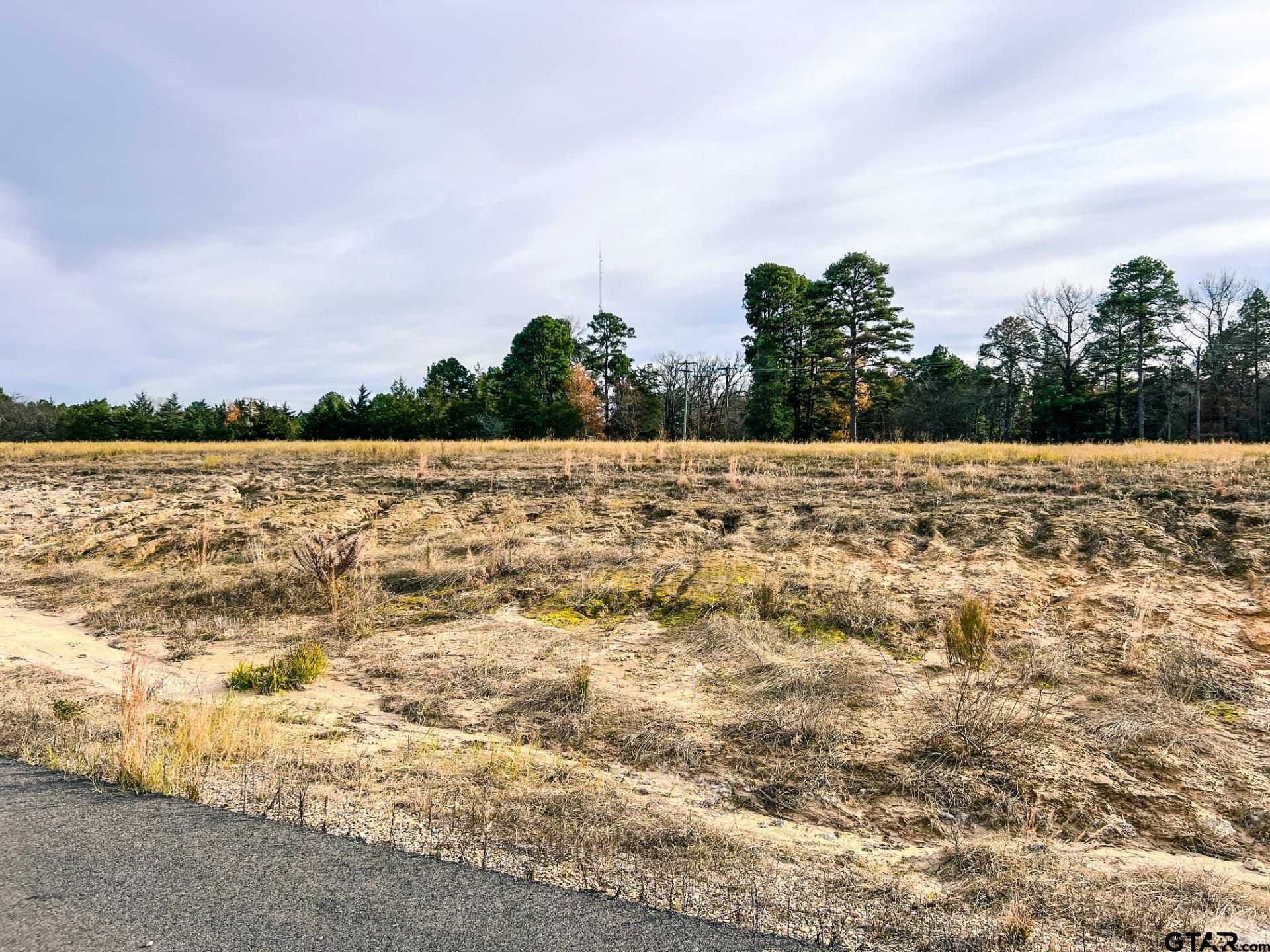 TBD LOT 39 Southshore