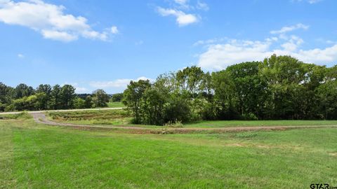 16622 Caeli Heights Winona TX 75792