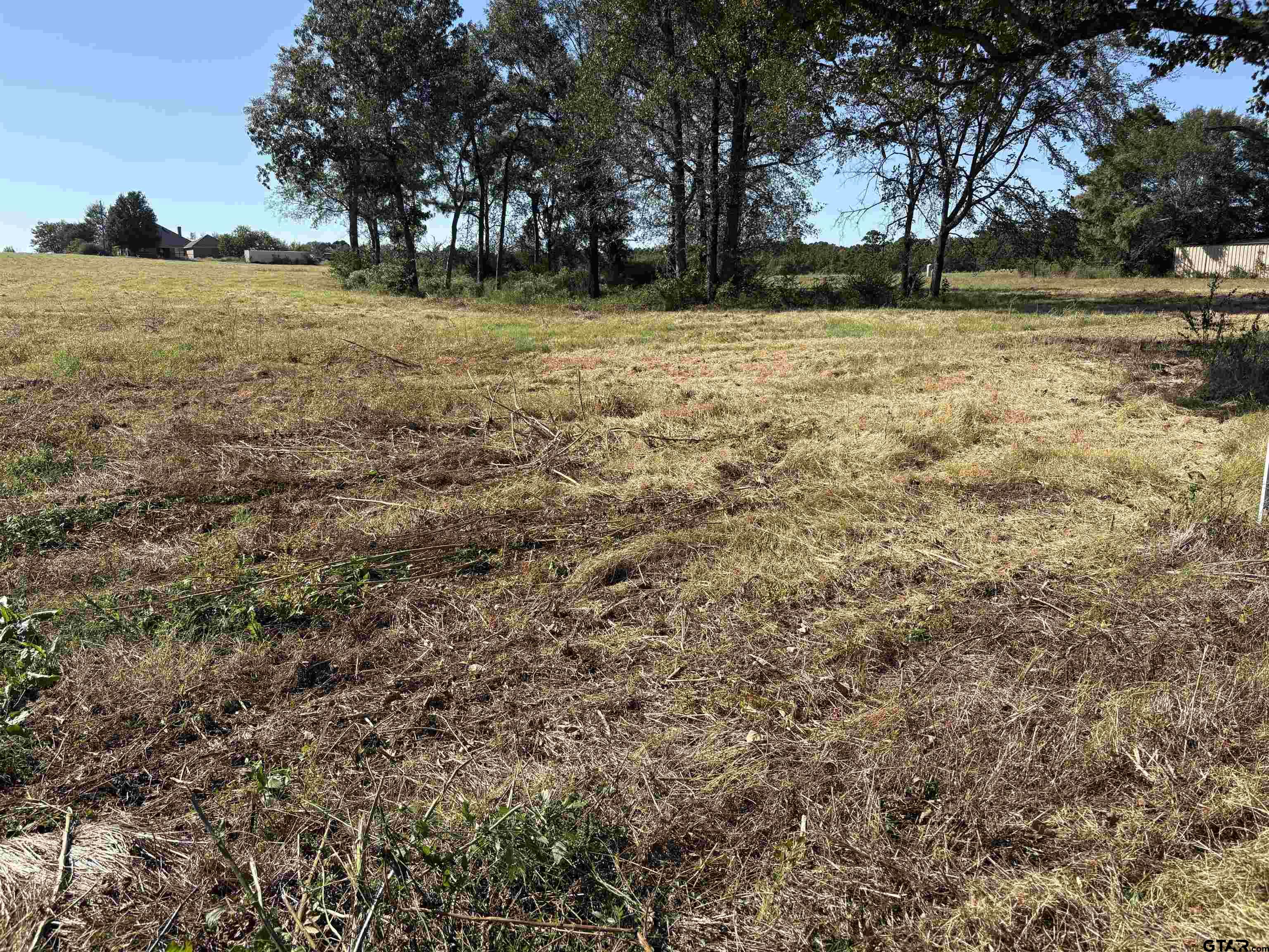 6.7 ACRES tbd COUNTY ROAD 2169