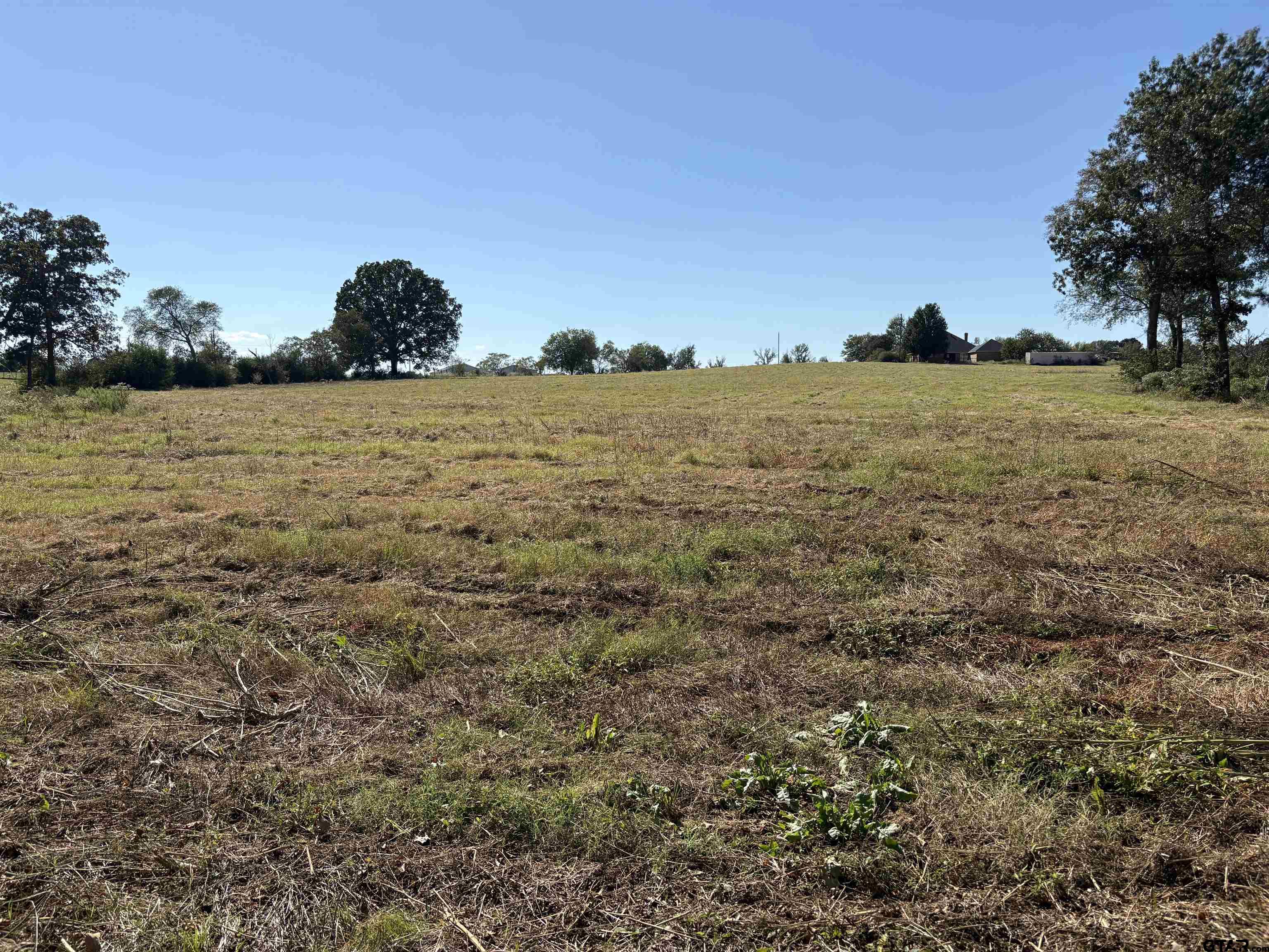 6.7 ACRES tbd COUNTY ROAD 2169