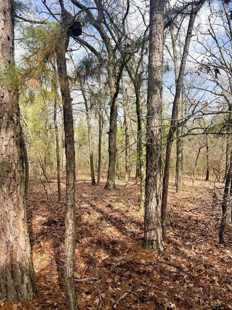 000 Private Road 8000 Winnsboro TX 75494