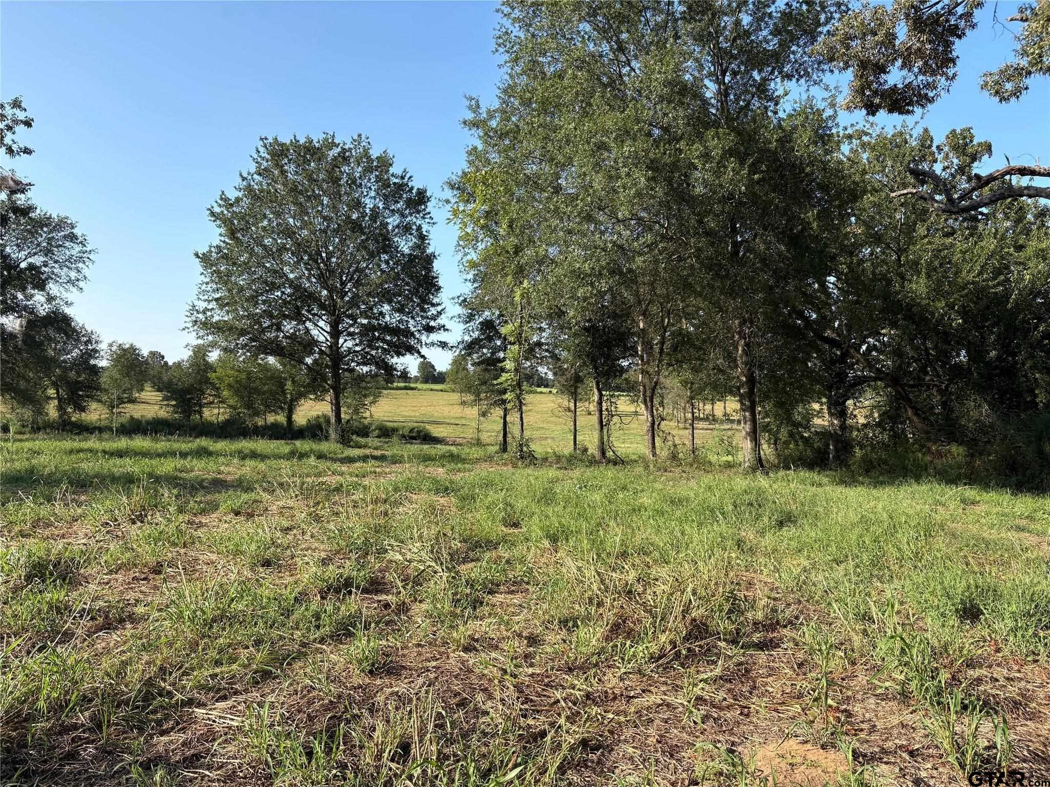 35AC County Road 2425