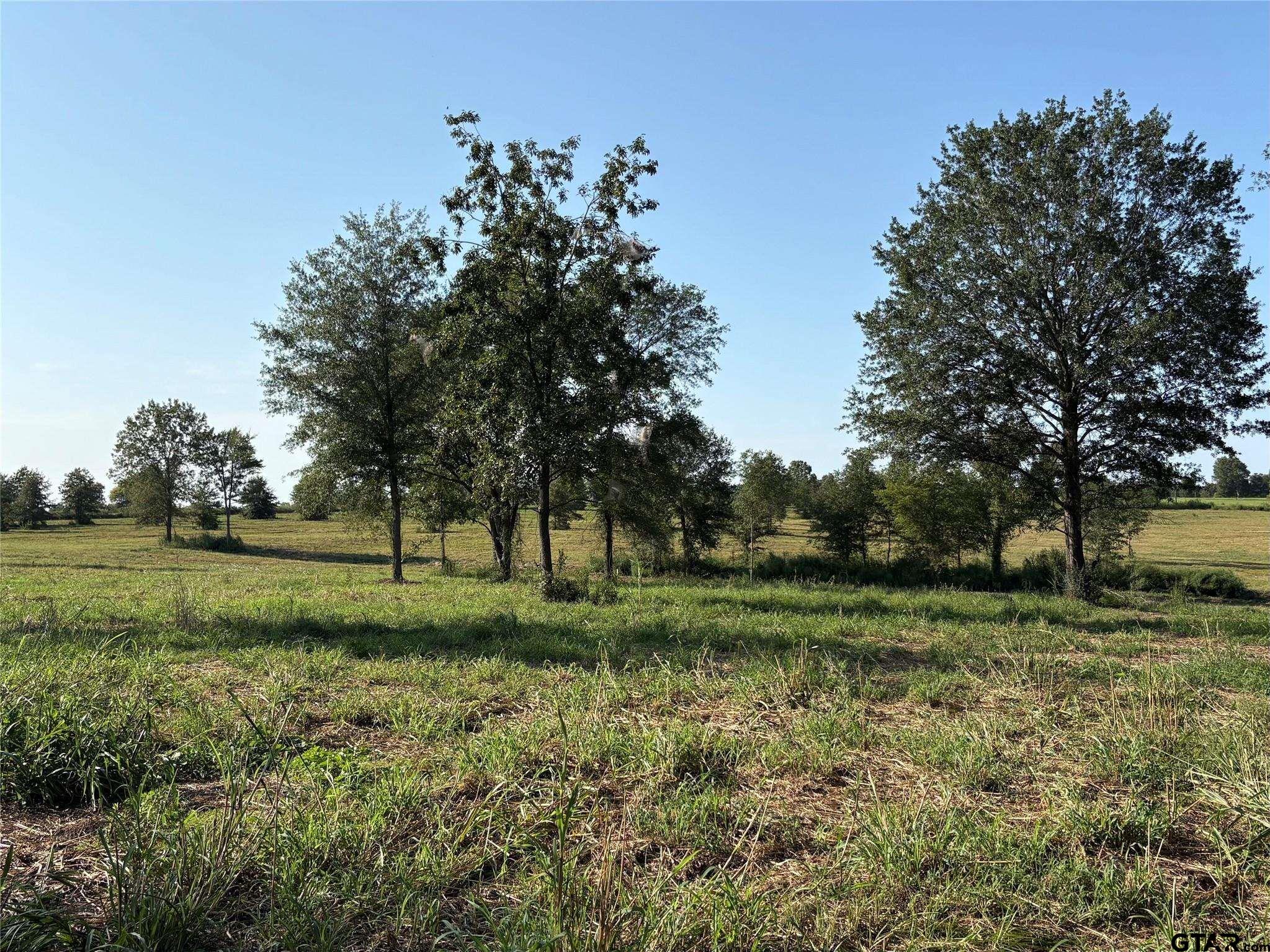 35AC County Road 2425