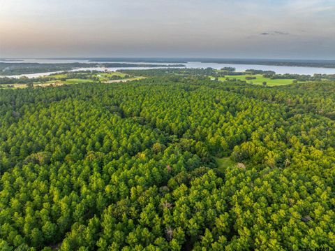 Tract 5 Hwy 155 Frankston TX 75763