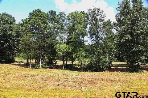 965 Stone Chimney Rd. (Lot 11 CR 3608) Bullard TX 75757