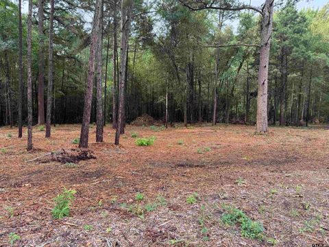 11503 C R 168 Tyler TX 75703