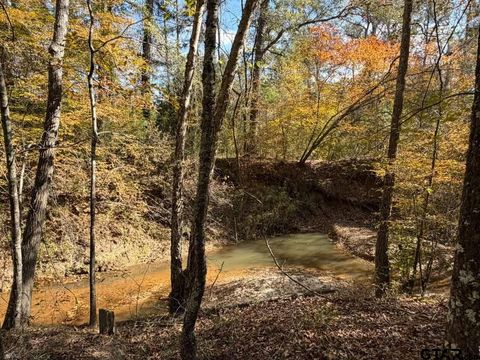 23791 Hwy 64E Arp TX 75750