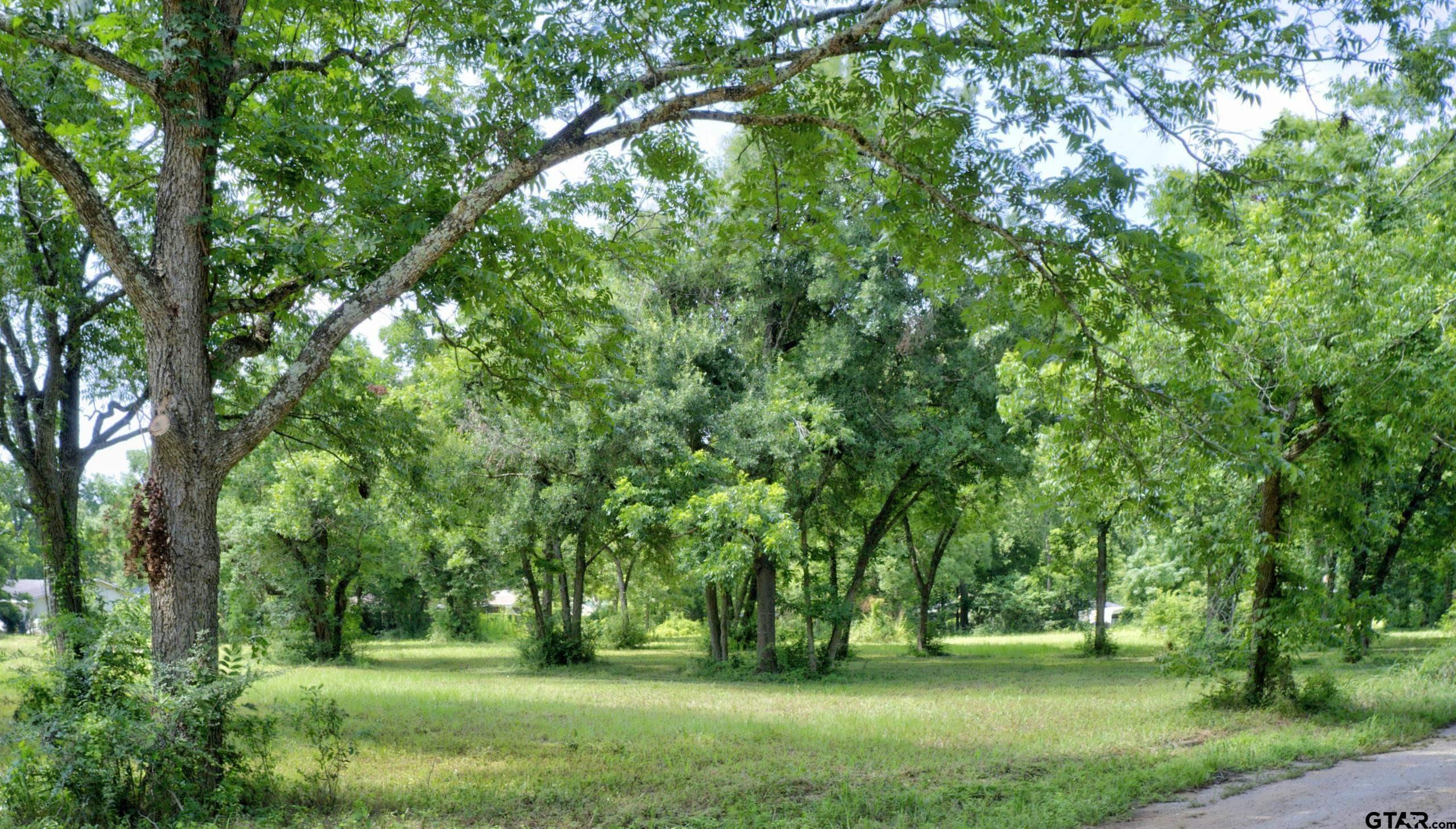 22 LOTS Broxson Court / Twin Drive