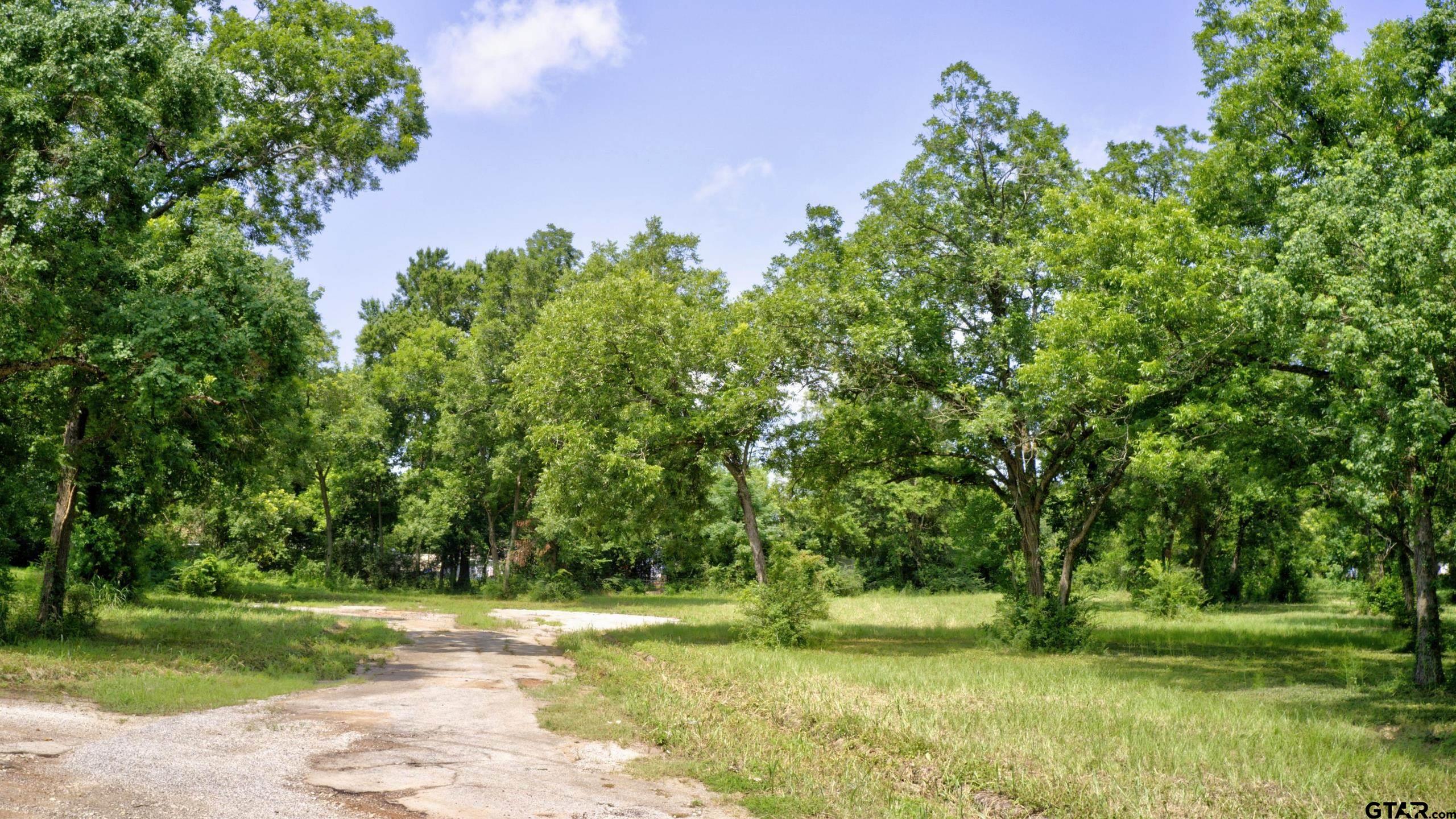 22 LOTS Broxson Court / Twin Drive