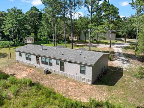 13864 CR 4196 D Henderson TX 75654