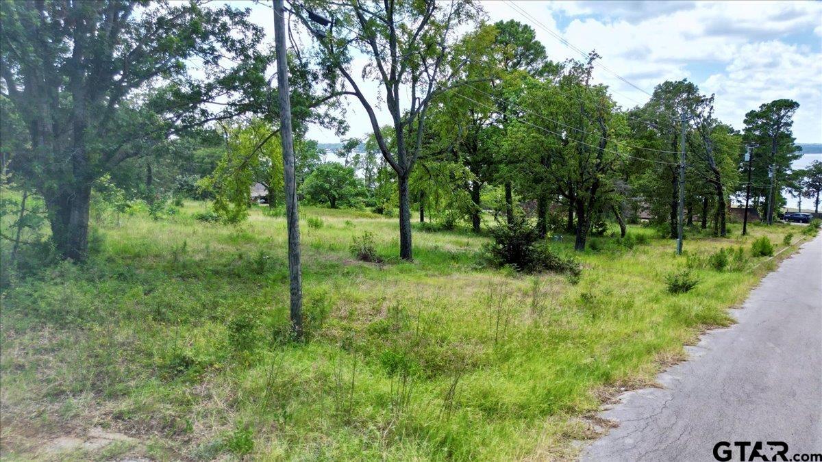 Flint, Texas 75762, United States, ,Land,Active,254630