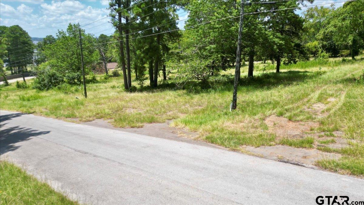 Flint, Texas 75762, United States, ,Land,Active,254630