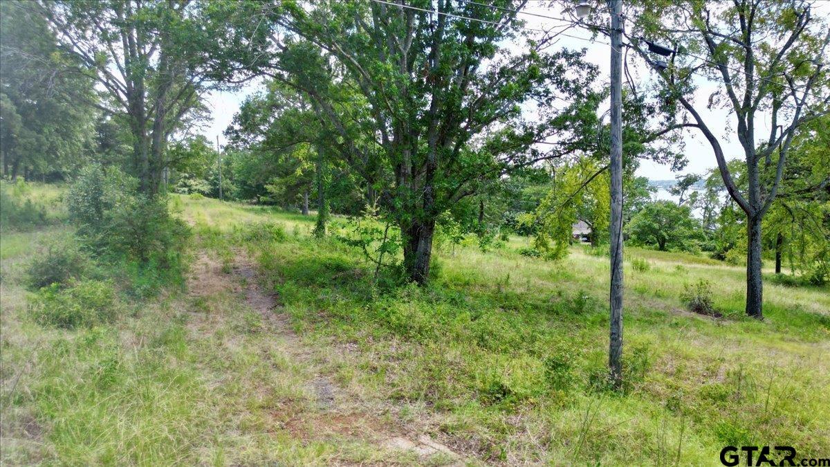 Flint, Texas 75762, United States, ,Land,Active,254630