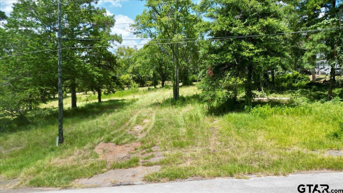 Flint, Texas 75762, United States, ,Land,Active,254630