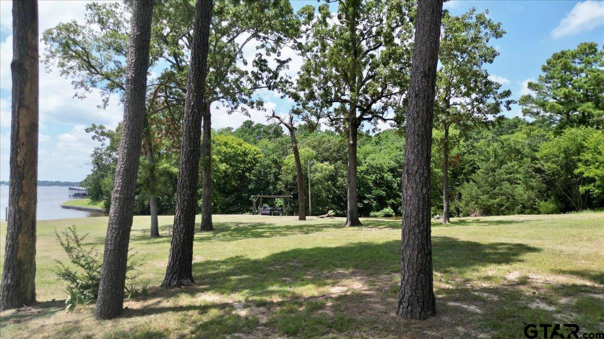 Flint, Texas 75762, United States, ,Land,Active,254630