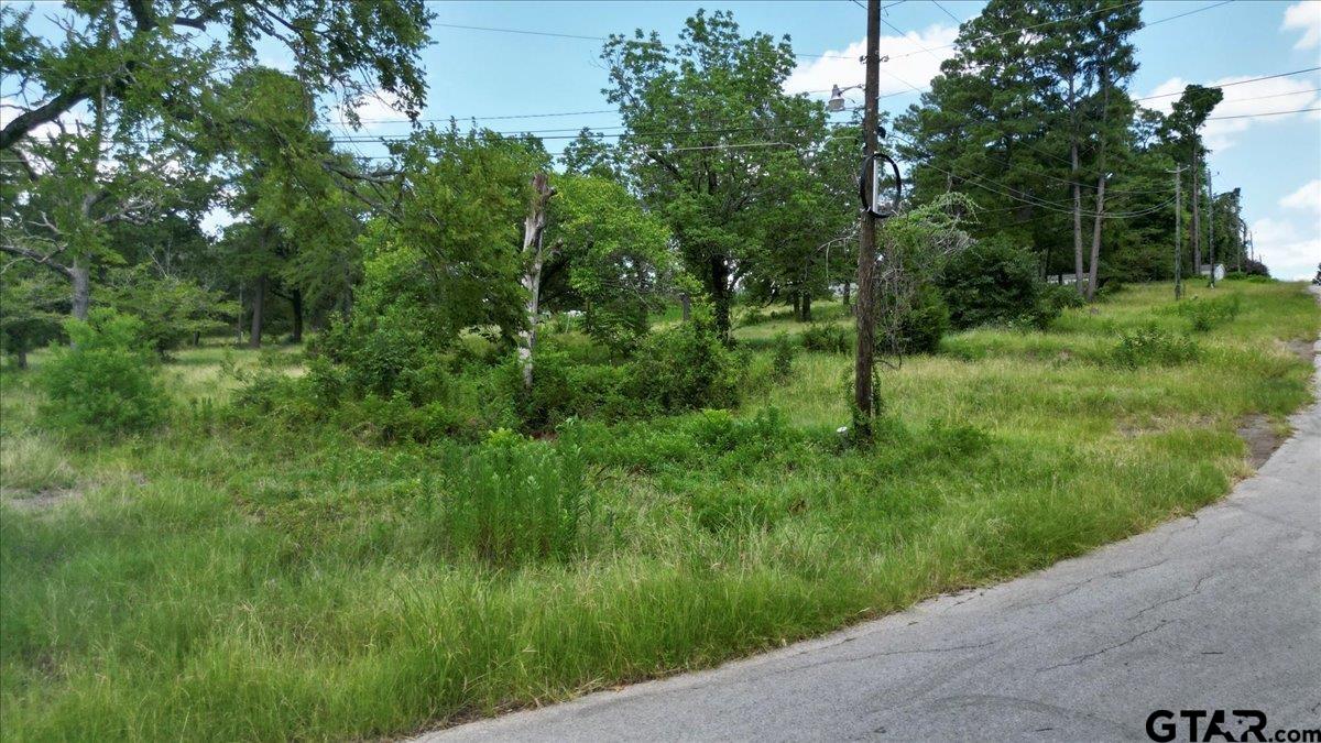 Flint, Texas 75762, United States, ,Land,Active,254630