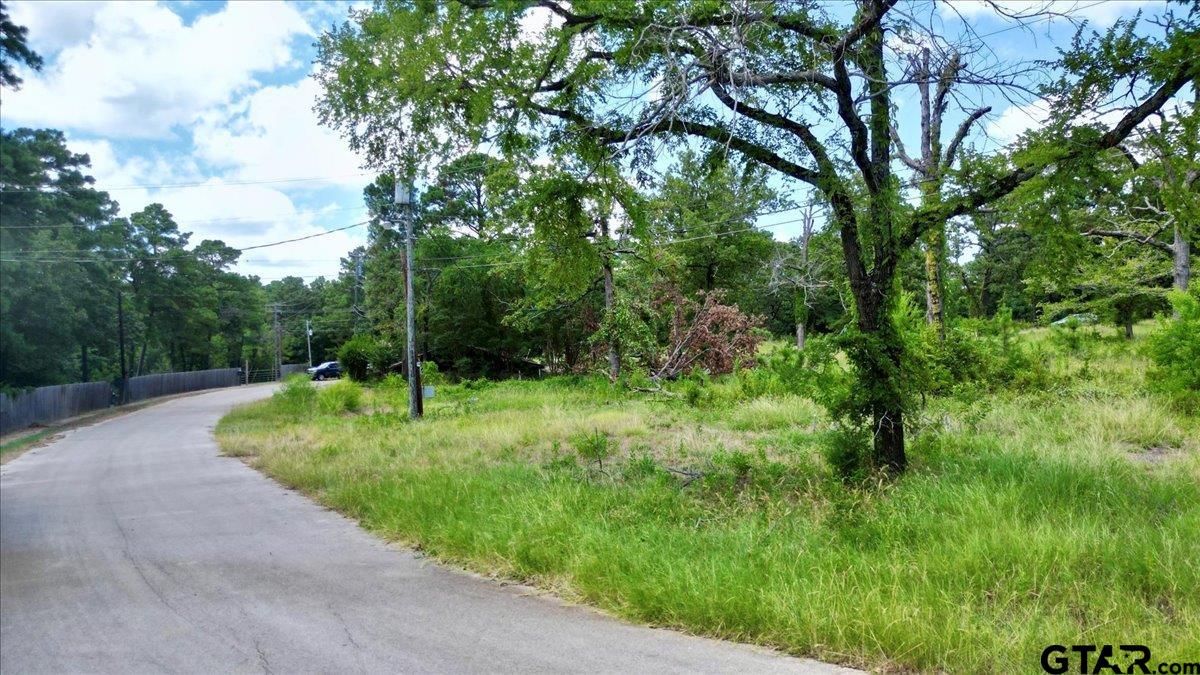 Flint, Texas 75762, United States, ,Land,Active,254630