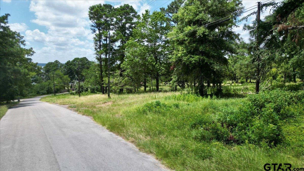 Flint, Texas 75762, United States, ,Land,Active,254630