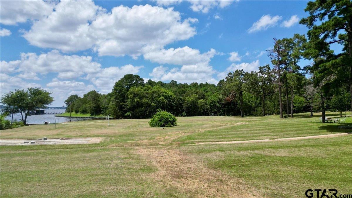 Flint, Texas 75762, United States, ,Land,Active,254630