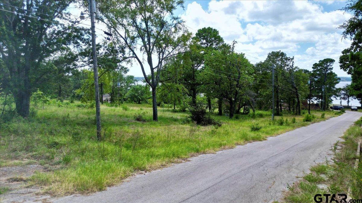 Flint, Texas 75762, United States, ,Land,Active,254630