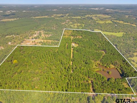 5379 CR 385 Tyler TX 75708