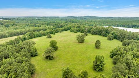 9822 Nasturtium Rd Ore City TX 75683