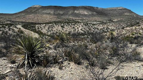 10 Trachyte PID 21196 Terlingua TX 79852