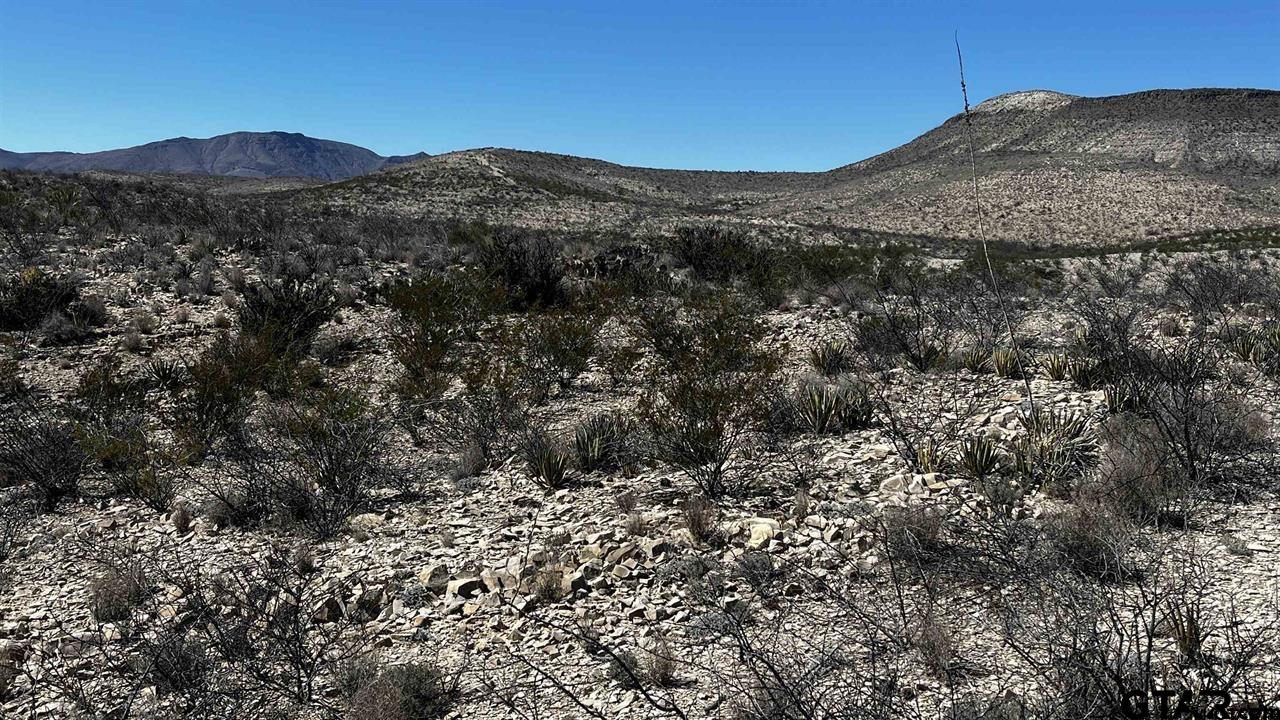 10 Trachyte PID 21196