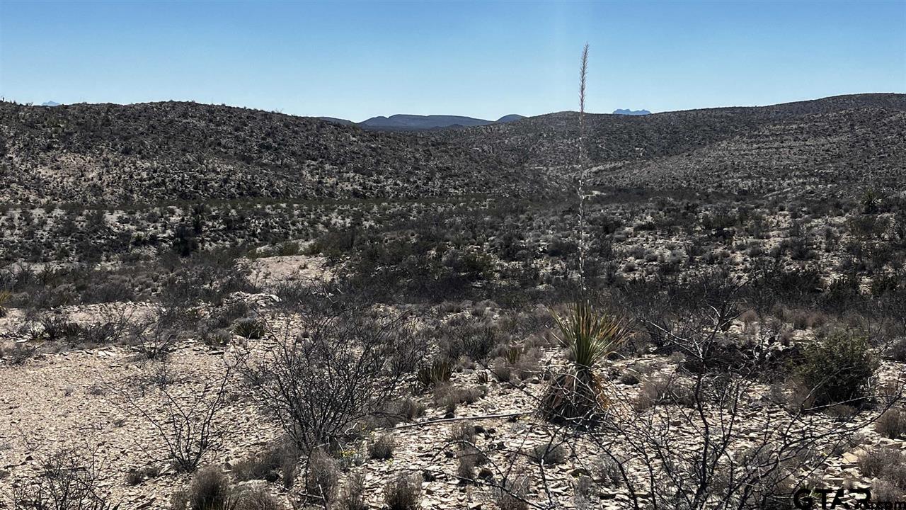 10 Trachyte PID 21196