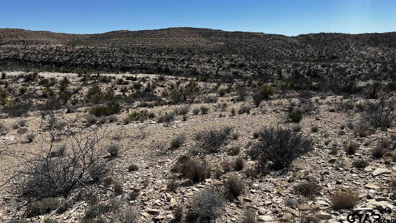 10 Trachyte PID 21196