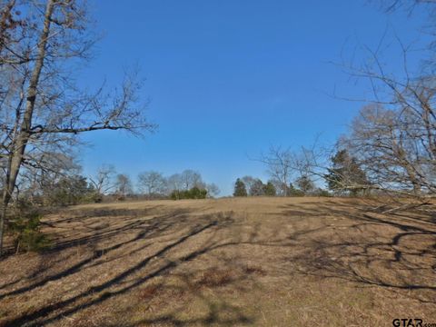 A home in Quitman