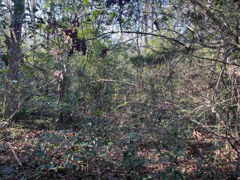 TBD W Bent Bow Lane Holly Lake Ranch TX 75765