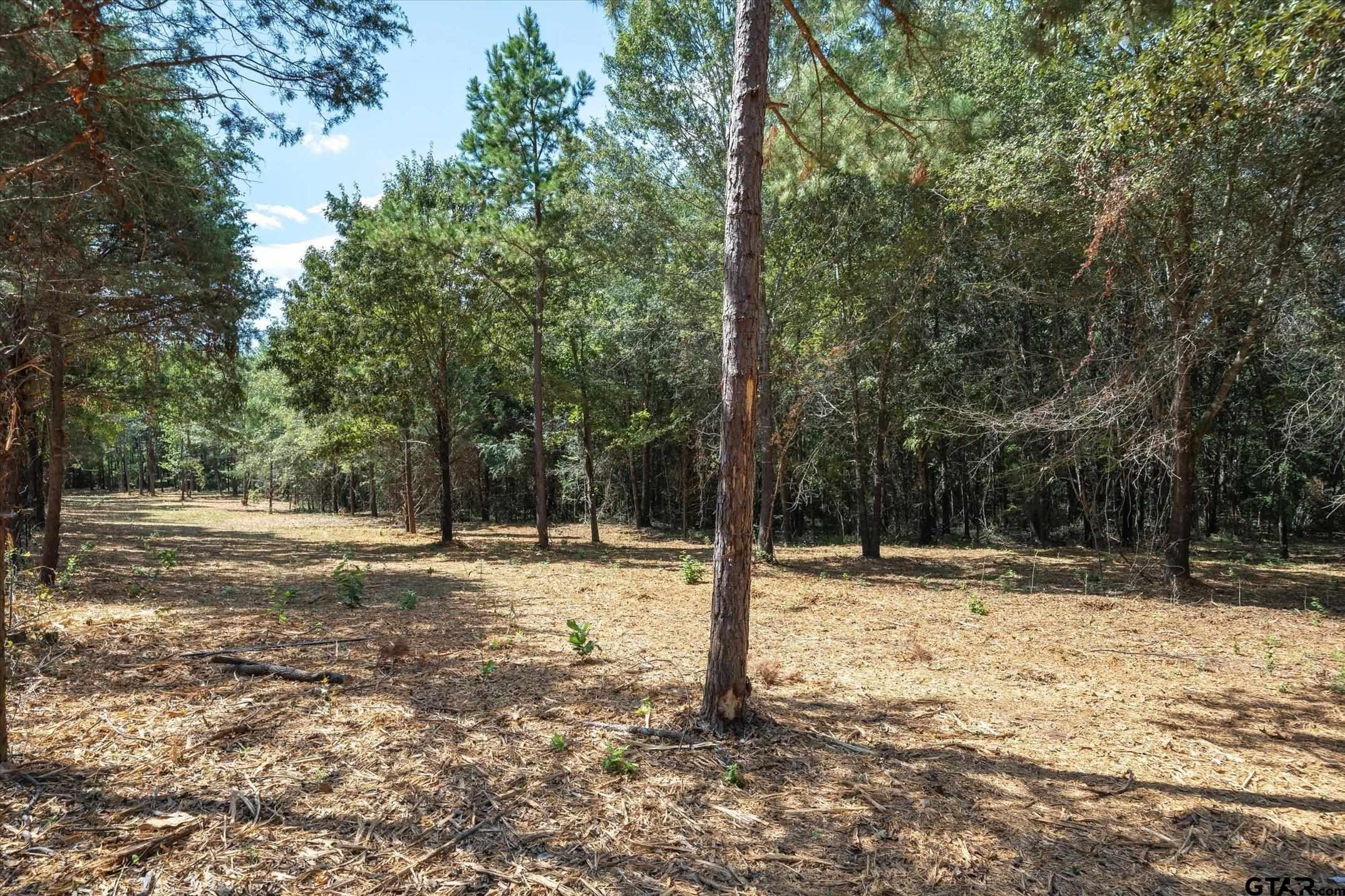 Tract 1 County Road 484