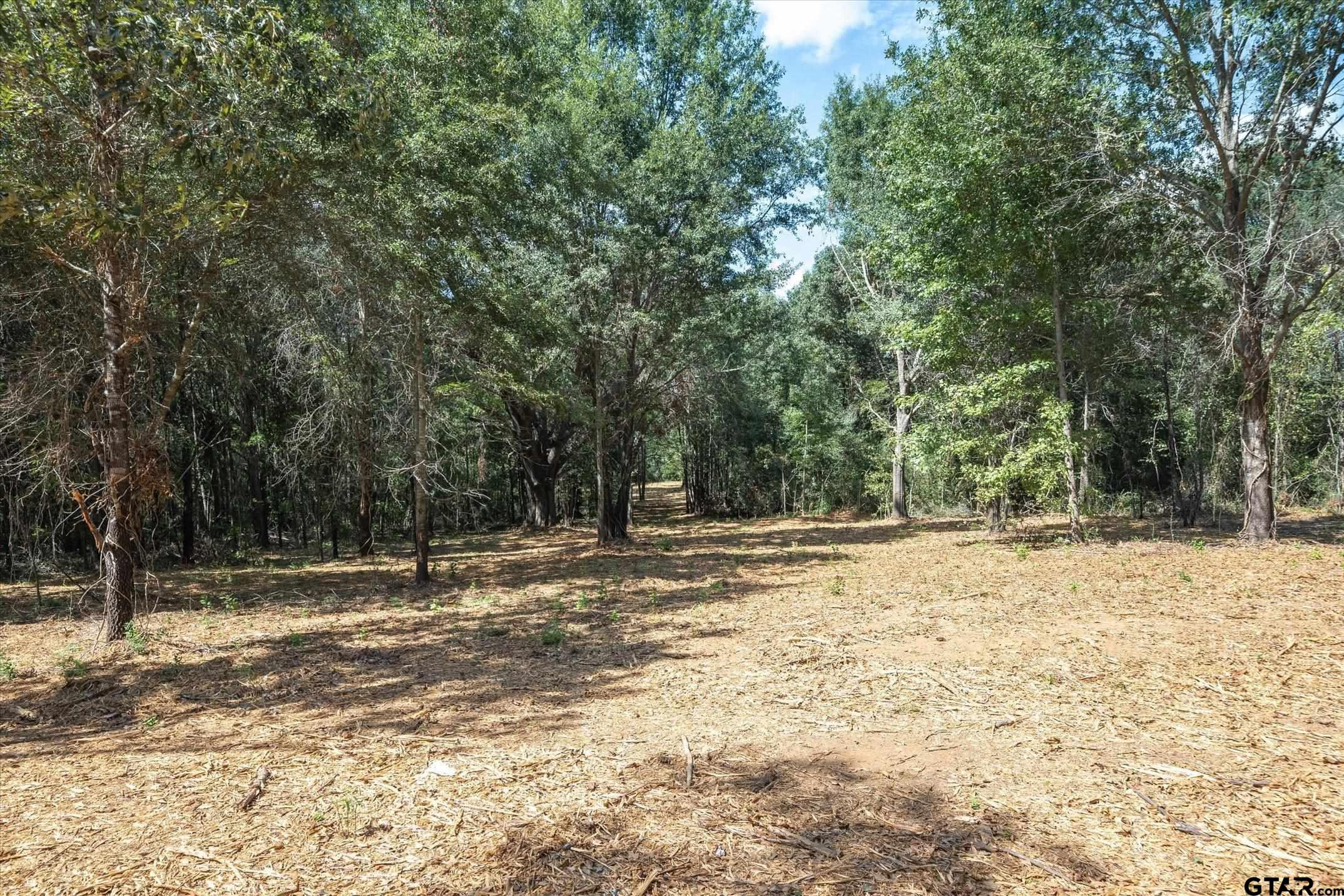 Tract 1 County Road 484