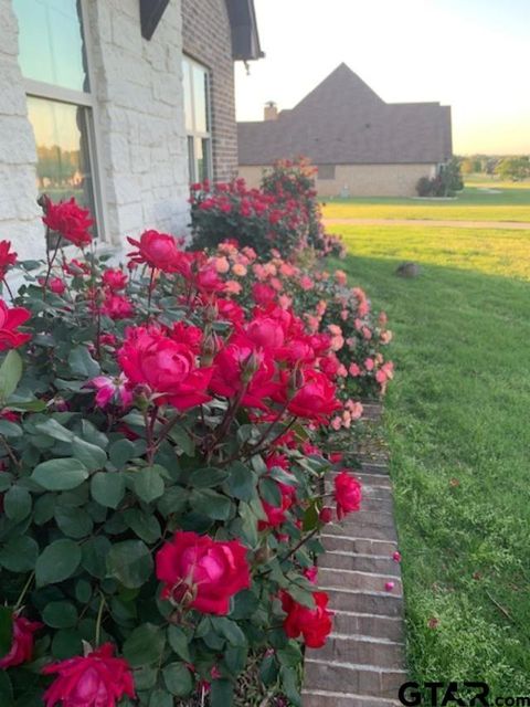 A home in Tyler