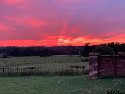 A home in Tyler