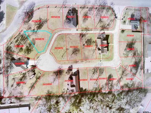 115 Palomita Cove Athens TX 75752