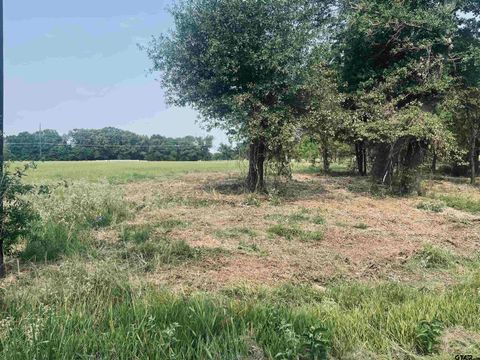 LOT 6 , Leach Woods East CR 1560 Alba TX 75410
