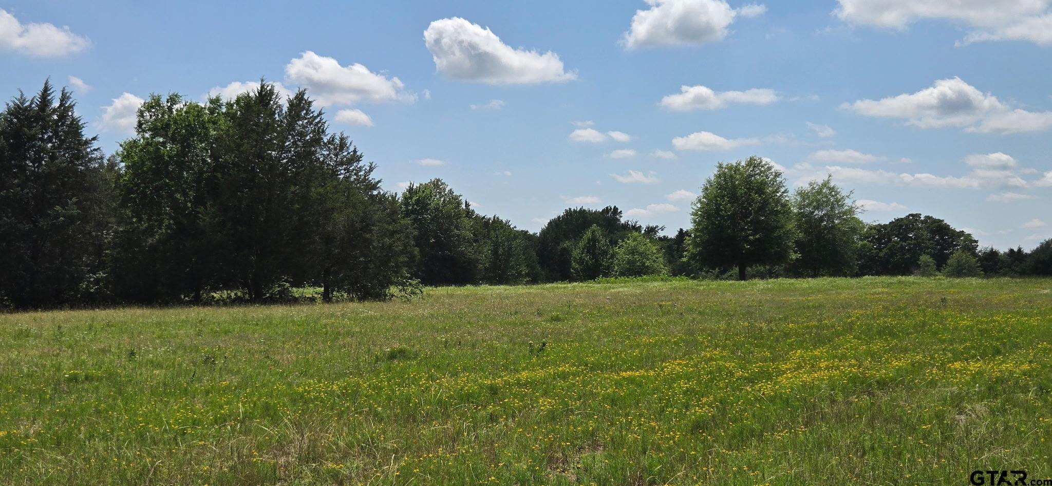 12077 County Road 1200