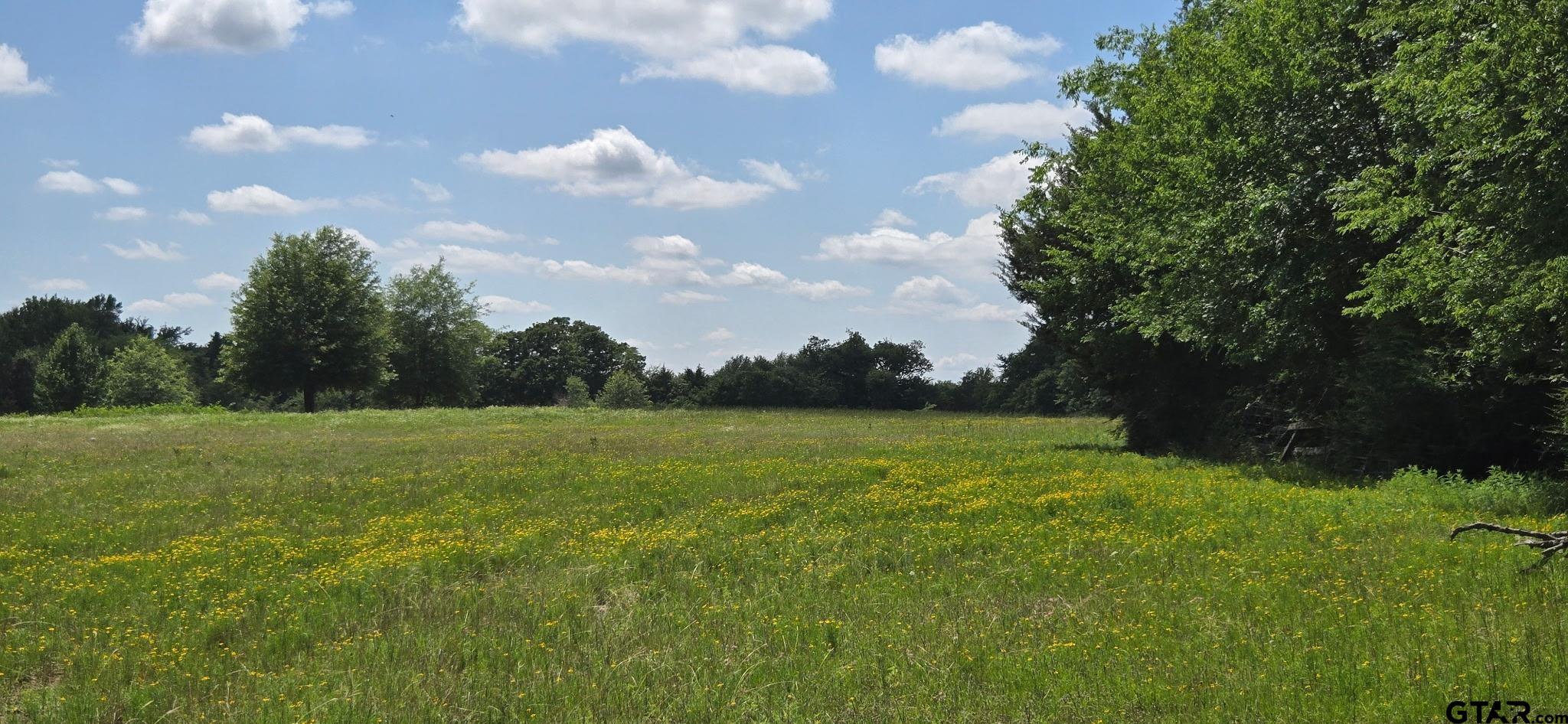 12077 County Road 1200