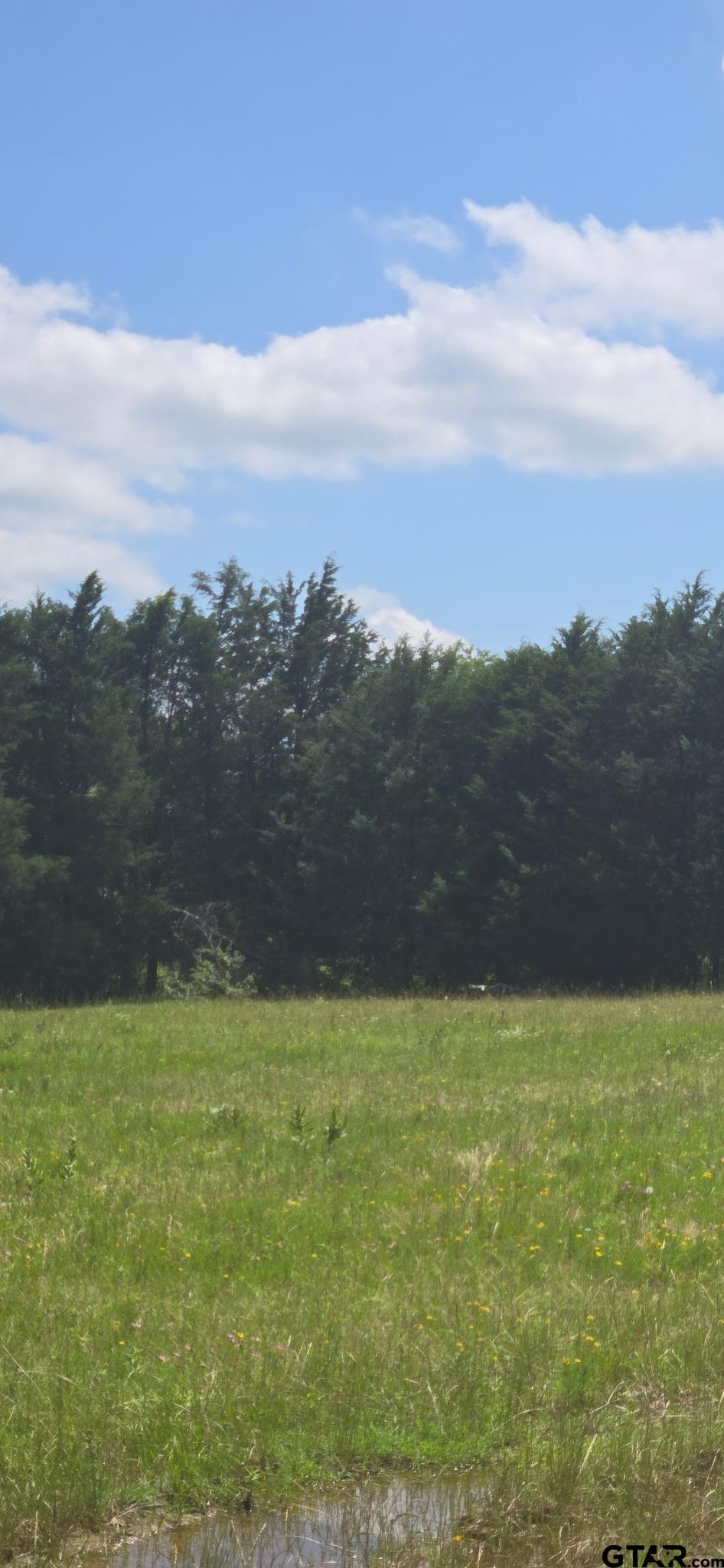 12077 County Road 1200