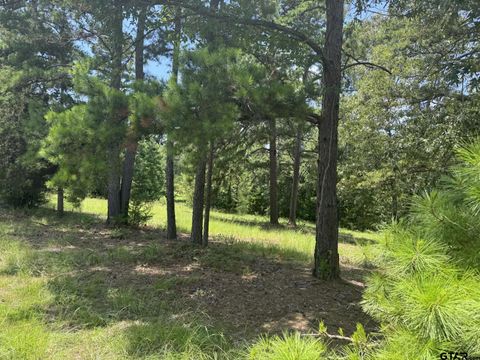 19488 Copperoaks Dr Tyler TX 75703