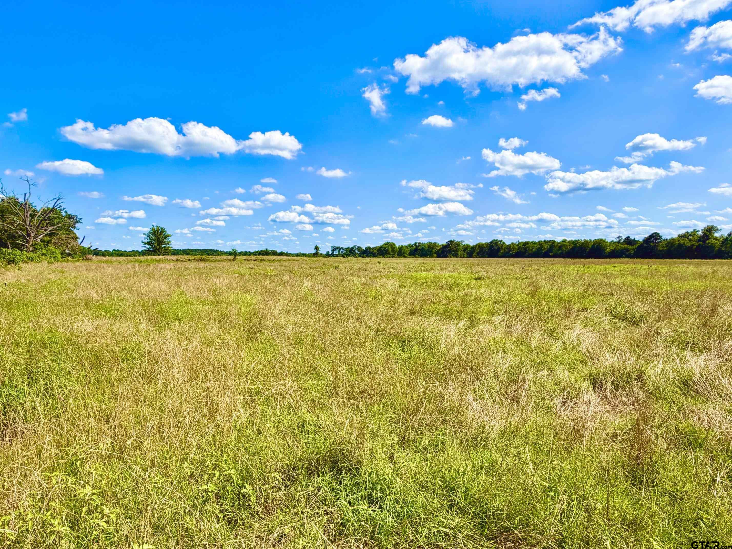 TBD Cooper Settlement Road
