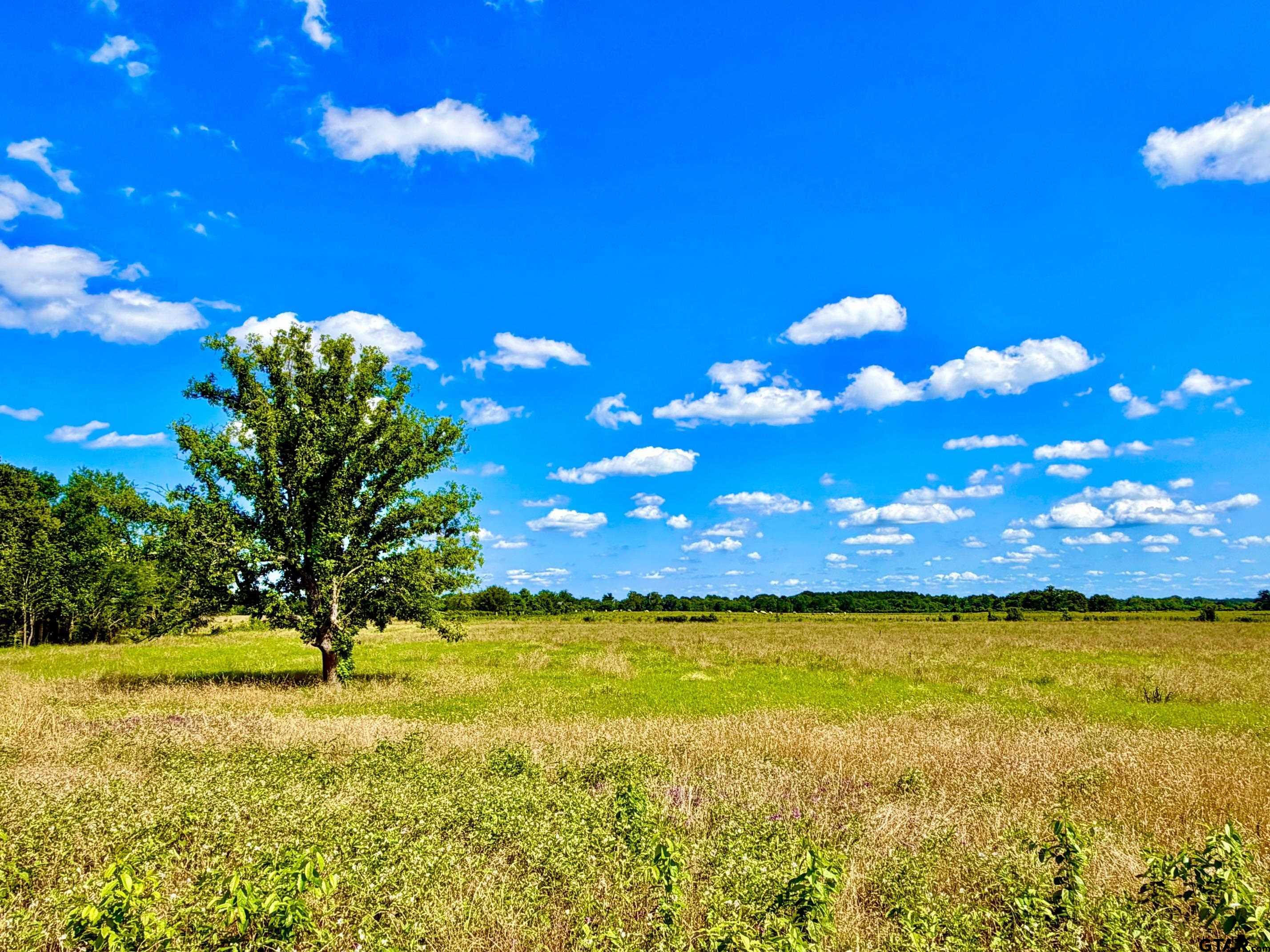 TBD Cooper Settlement Road